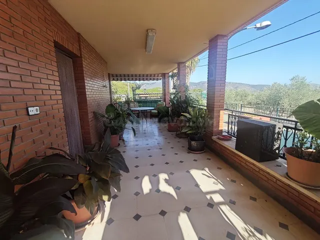 Campo en Sax 14.000 m2 parcela y casa con piscina — 27