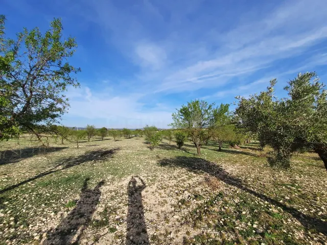 TERRENO PARA SU CASA DE CAMPO EN CANTO BLANCO - foto 5