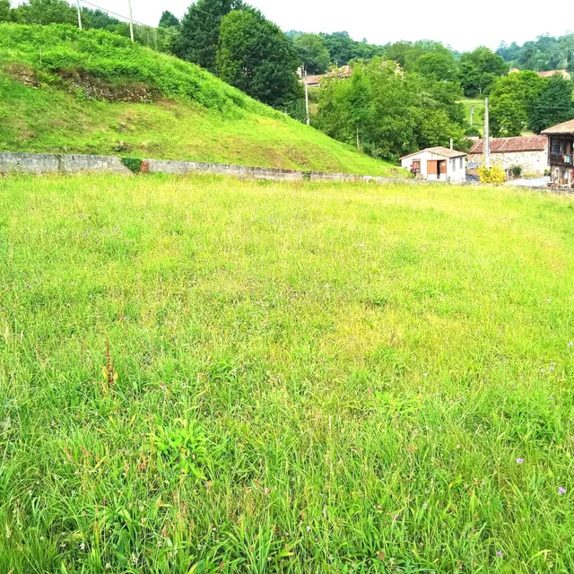 Exclusiva parcela en Cades (Herrerías) con 3.707 m2 de terre - foto 5