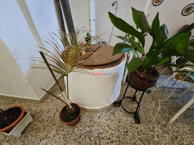 CASA EN VENTA EN VILLANUEVA DE CORDOBA — 17