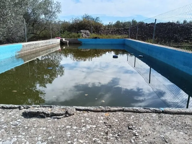 finca con casa y balsa — 6