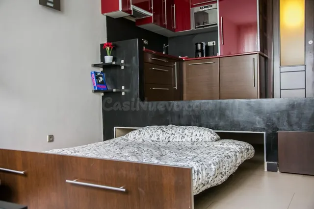 OFICINA TIPO LOFT CON GARAJE Y PISCINA EN SANTA LEONOR - foto 3