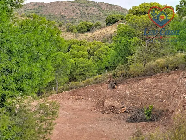 FINCA DE 10.400 M2 CON PISCINA EN SIERRA ESPUÑA — 120.000 € — 29