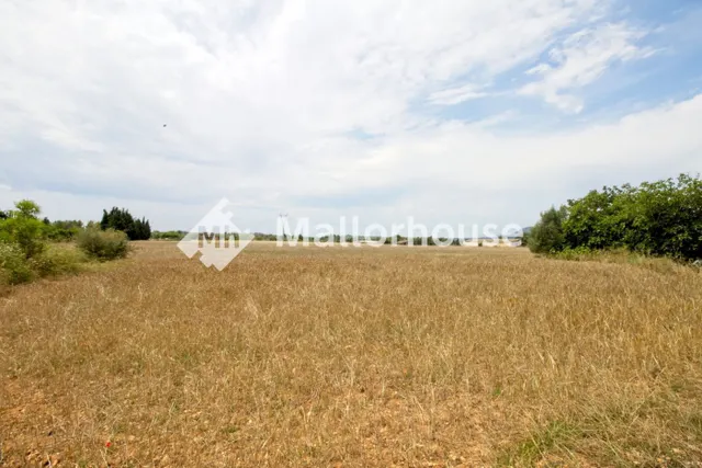 Finca rústica 210m² en venta - Centro - foto 4