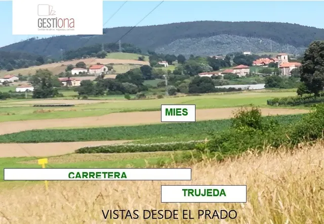FINCA USO AGRICOLA 30.000M2 — 2