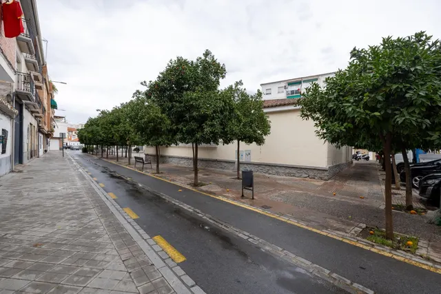 Local Comercial en Zaidín para Reformar - Excelente Ubicación — 11