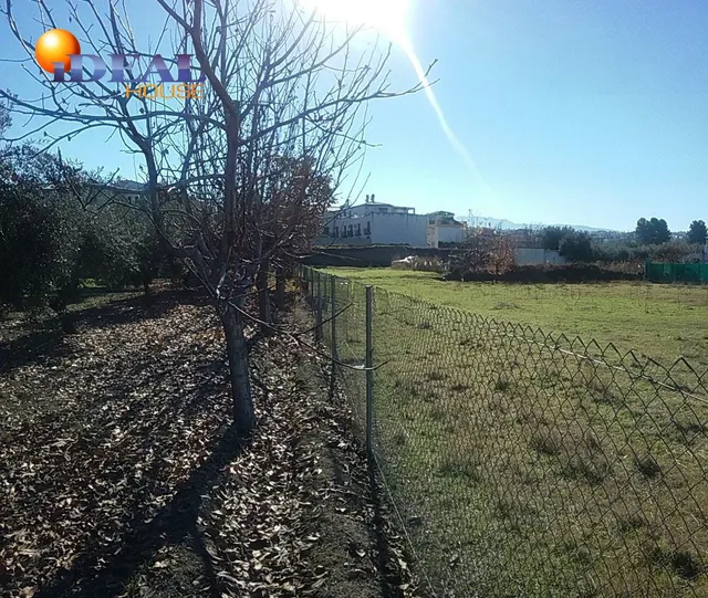 OLIVAR EN LA ZUBIA DE 3.597 M2 — 12
