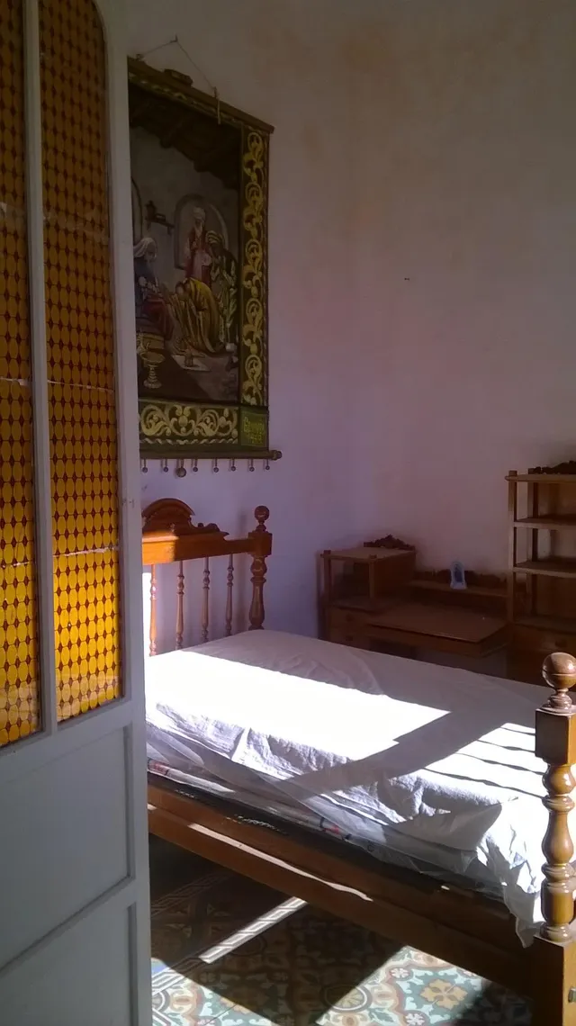 Finca de 12.441 m2 en Raiguero de Bonanza, pedanía de Orihuela (Alicante) — 11