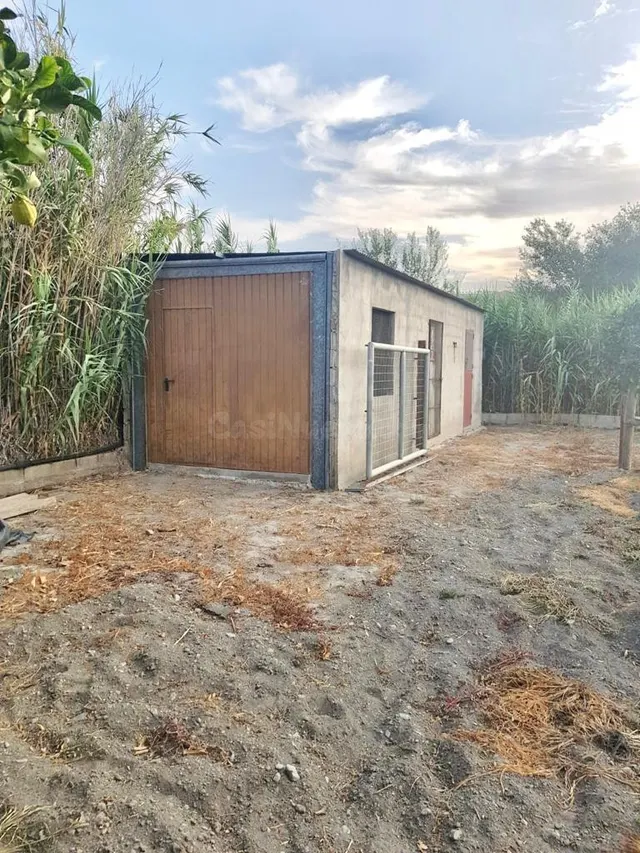 FINCA CON CORTIJO — 5