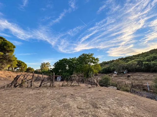 Finca rústica de 18.444 m2 con pozo y construcción catastrada en Alcalá de los Gazule — 50