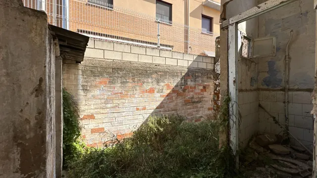 Casa Alagón — 50
