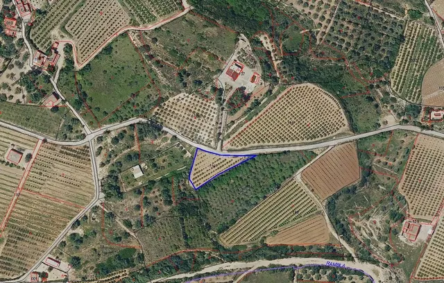 Terreno rural en venta - Comunidad valenciana - foto 5