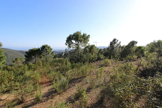 Parcela exclusiva con vistas al Mediterráneo en Benahavís — 16