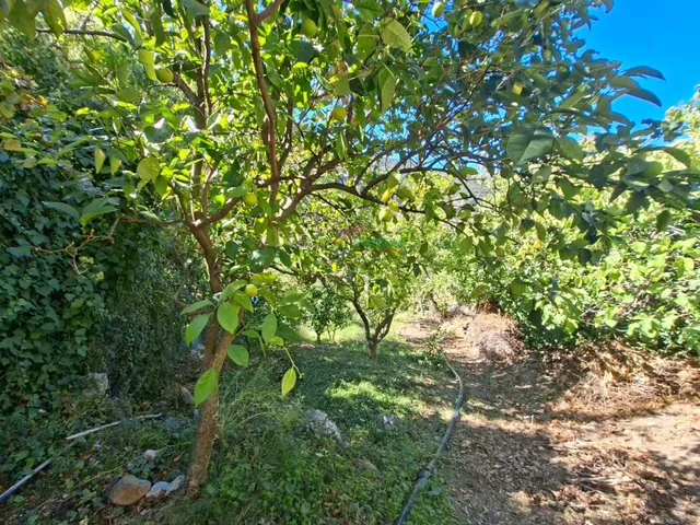 Venta casa estilo rústica con terreno.benamahoma. — 18