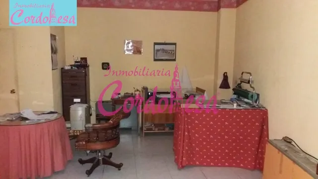 FANTASTICO LOCAL COMERCIAL EN PLENO CENTRO — 2