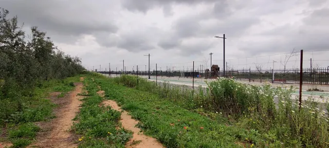 TERRENO TERCIARIO EN MAIRENA DEL ALJARAFE — 10