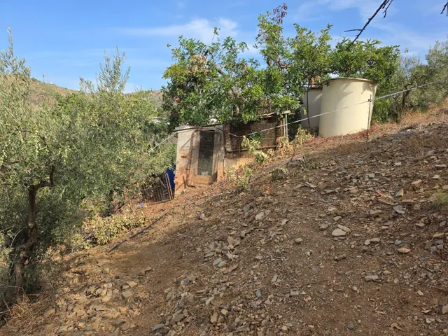 CASA CAMPO CON TERRENO DE 1 HECTAREA EN TOTALAN — 14
