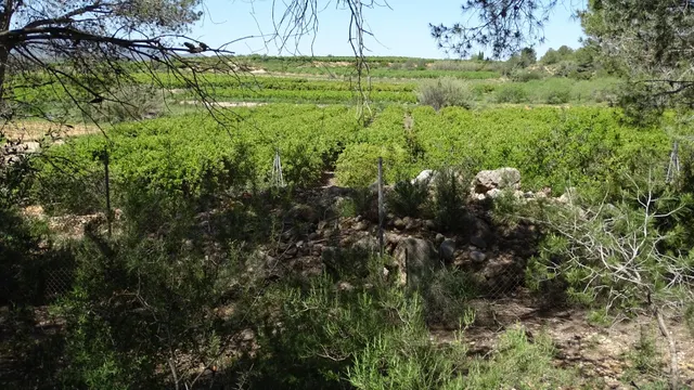 Terreno en venta en Vilamarxant — 24