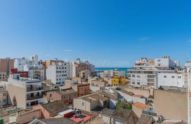 Proyecto y licencia para 8 viviendas en El Arenal — 2