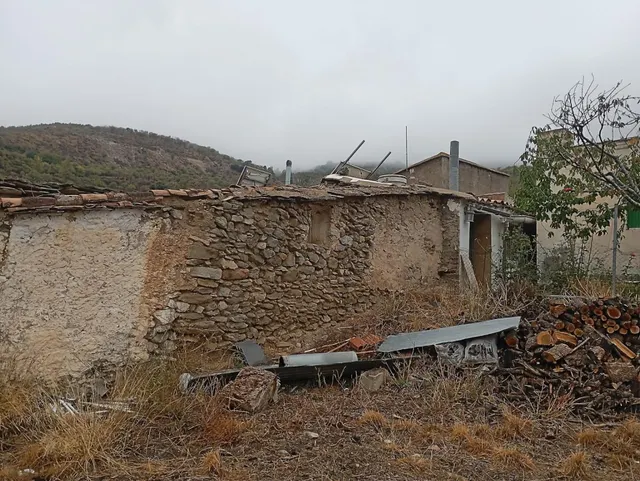 VENTA EN SIERRO ( ALMERÍA ) DE TERRENO PARA CAZA. - foto 3