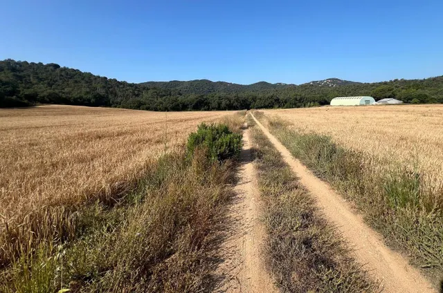 Masía histórica para rehabilitar con 19 hectáreas de terreno – Tossa de Mar — 17