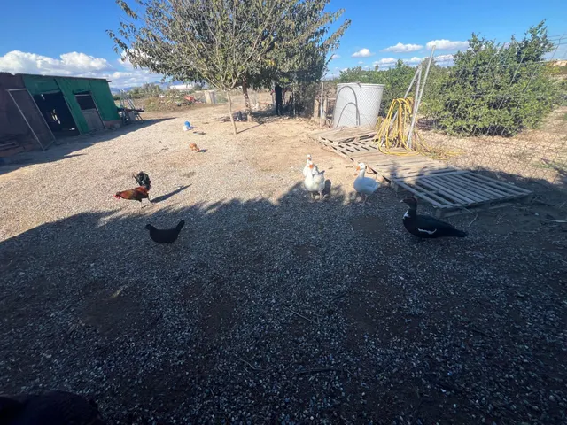 Una casa rural verdaderamente especial: privada, acogedora y perfectamente conectada tanto con el pueblo como con la costa. Bienvenido a un lugar dondela paz, el espacio y la naturaleza se fusionan — 27