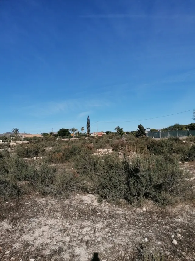 Parcela a 5 km de Elche — 3