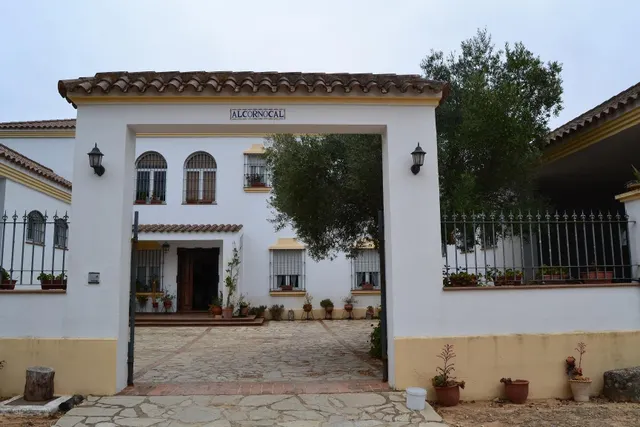 FINCA DE RECREO CON 14 HECTAREAS EN ARCOS DE LA FRONTERA — 5