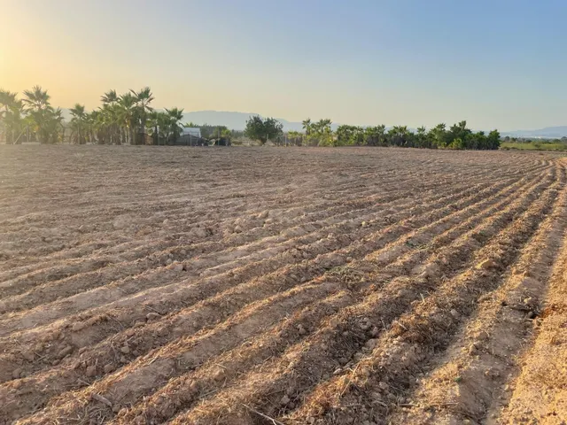 Terreno rural en venta - La Hoya-Daimes-El Derramador - foto 3