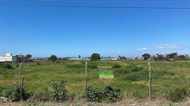 MAGNIFICA PARCELA EN CAMINO PISTA DE MONTIJO, CHIPIONA — 3
