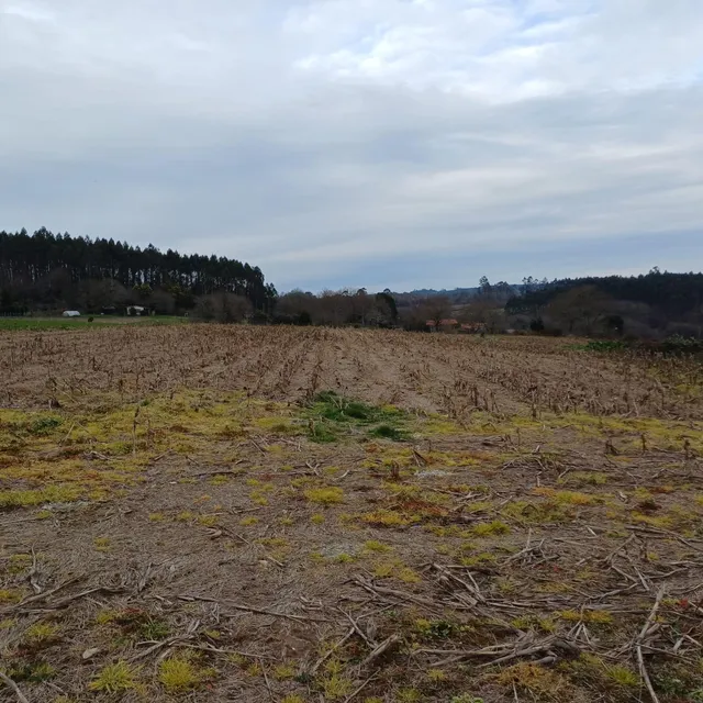 SE VENDE CASA DE ALDEA EN ARZUA PARA REFORMAR — 42