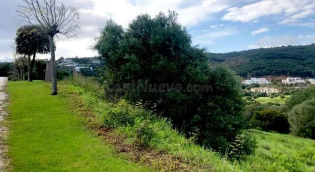 Parcela en venta - Sotogrande - Alto - foto 5