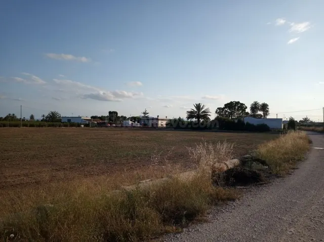 Terreno Rústico en venta - Elche