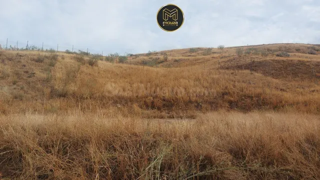 PARCELA EN PUENTE TABLAS - foto 2