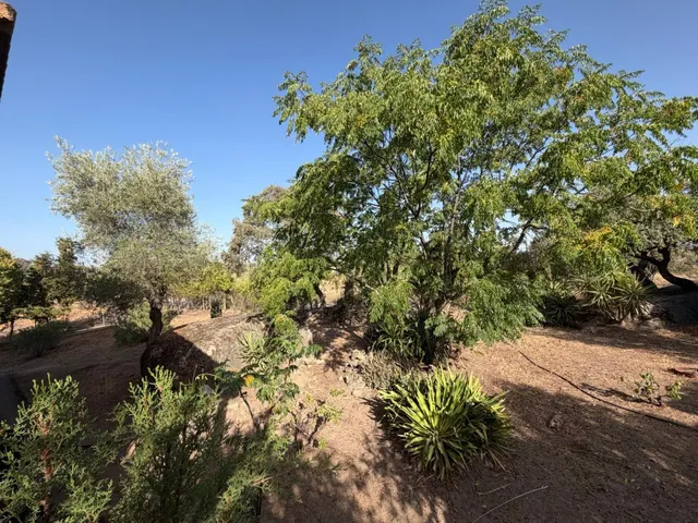 Casa de campo en Arroyo de la Luz — 35