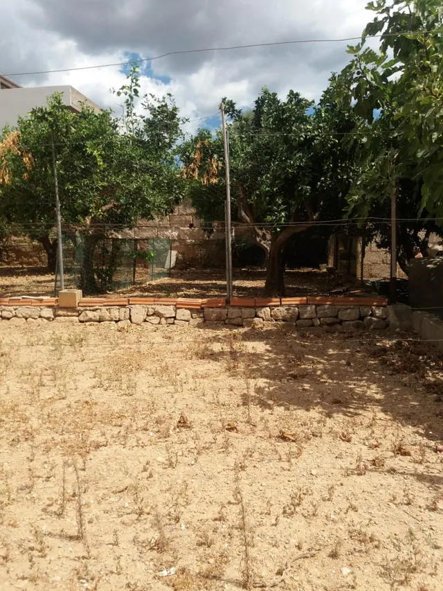 Solar en Sa Pobla — 15