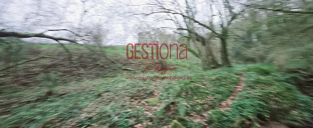 CABAÑA CON ARROYO,  PROYECTO Y CAMBIO DE USO EN LLANOS. PENAGOS — 33