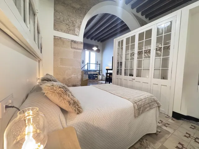 PRECIOSO LOFT SITUADO EN ANTIGUA BODEGA EN EL CENTRO DE JERE - foto 5