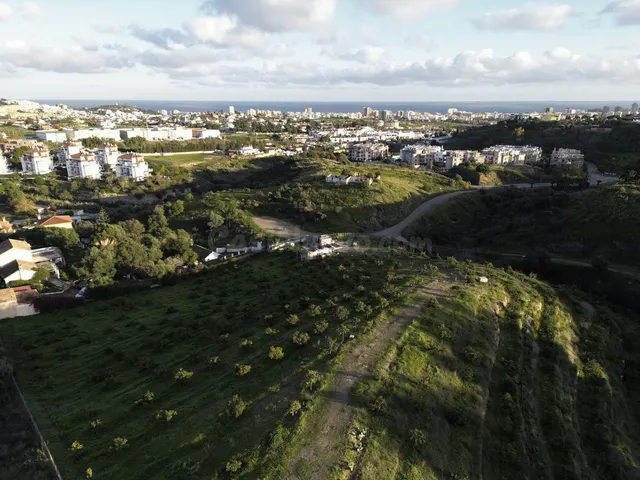 Parcela urbanizable Mijas: 10.900 m² con aguacates y potenci - foto 4
