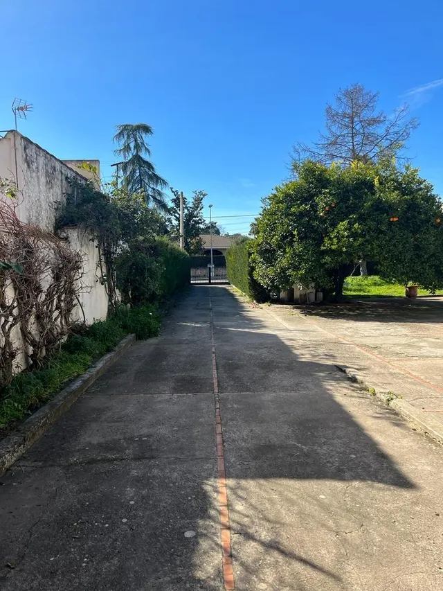 UNA PARCELA DE 3000 M2 SEGREGABLE EN TRES CON DOS CHALETS CON BUENA UBICACIÓN — 20