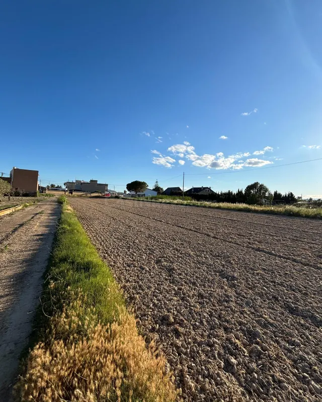 Terreno urbano y rústico en pleno Delta del Ebro | Sant Jaum