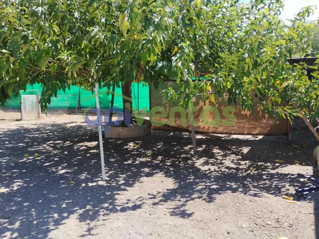 Casa vallada de 3 plantas — 45