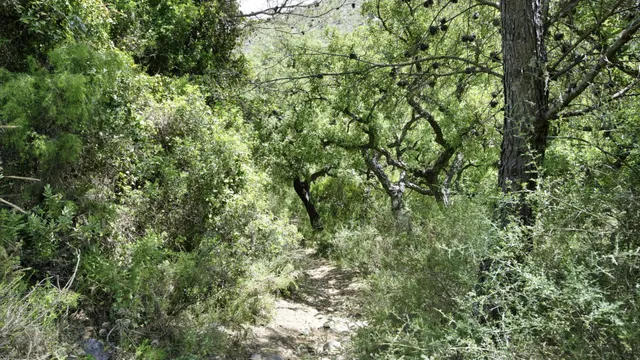 Parcela en venta - South of spain — 18