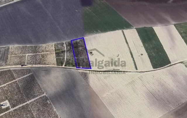 PARCELA RÚSTICA EN LA ZONA DE RANCHO PEREGIL