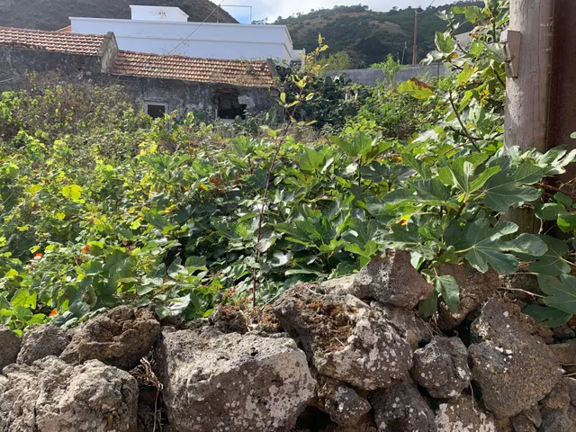Casa con terreno y muchas posibilidades en El Hoyo del Barrio, El Hierro — 21