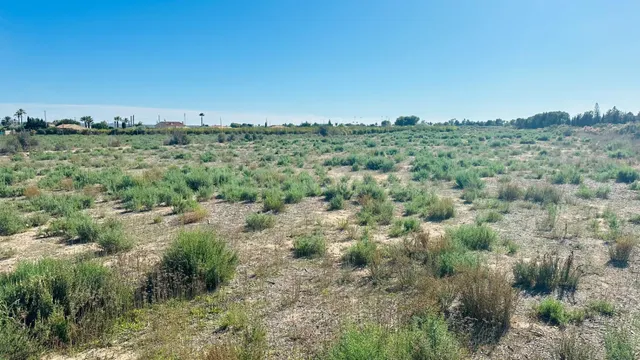 Terreno de 12.000 m2 en Perleta. — 4