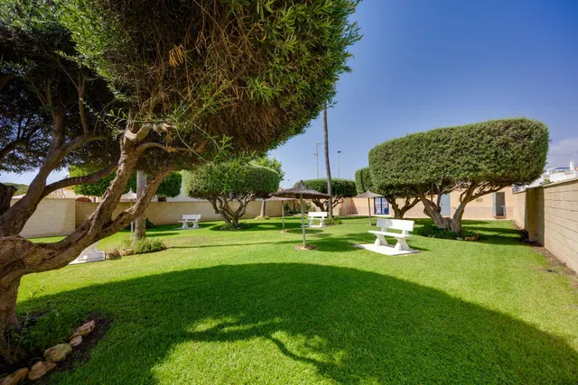 Bungalow planta baja con jardín y piscina junto c.comercial — 38