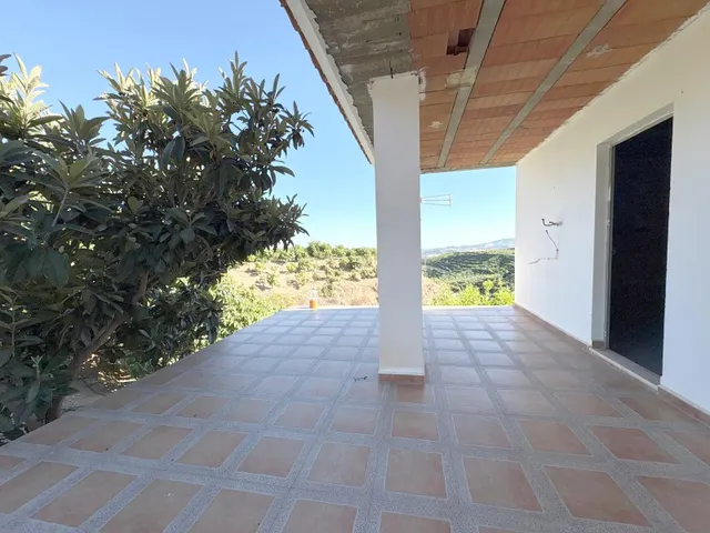Finca rústica con cultivos y pozos propios en Vélez-Málaga — 24