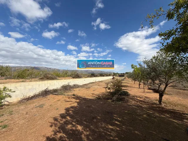CASA REFORMADA CON TERRENO RÚSTICO DE 3.000 M2 EN ÚBEDA – PINOSO — 33
