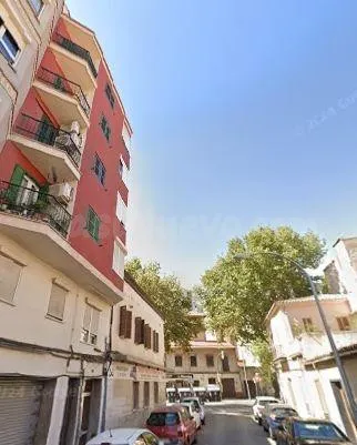 SE VENDE piso OKUPADO en Calle Sureda Nº 6 Palma de Mallorca - foto 2